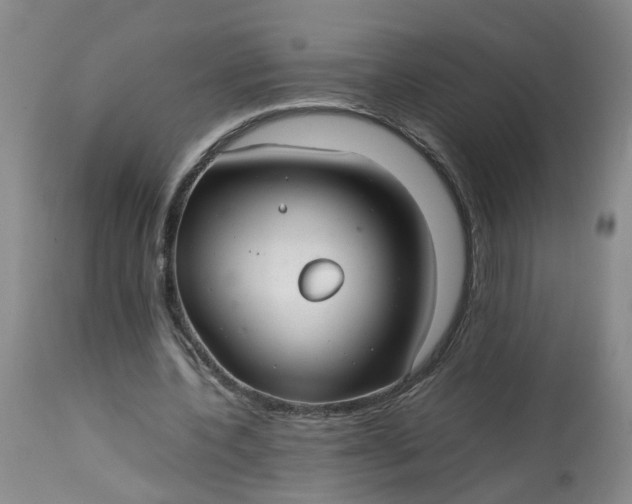 X0000113210532200910011322