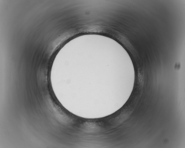 X0000113210534200910011322