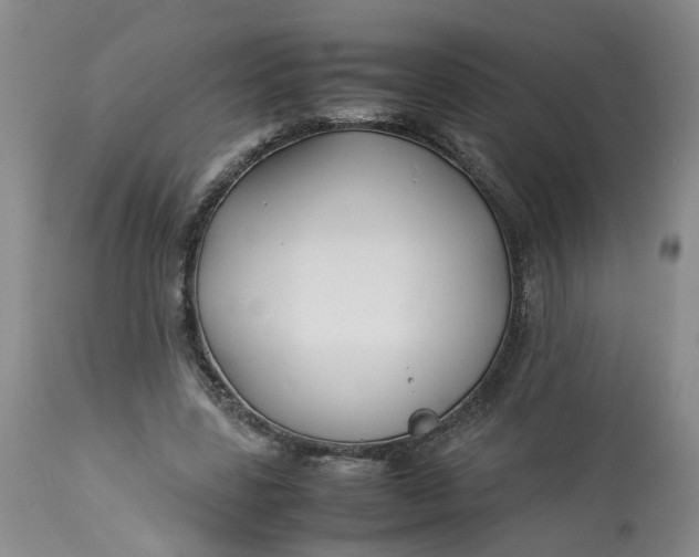 X0000113210539200910011322