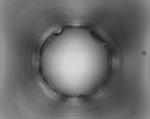 X0000113210540200910011322