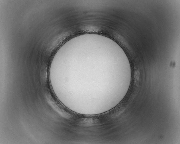 X0000113210541200910011322