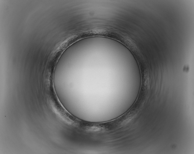 X0000113210542200910011322