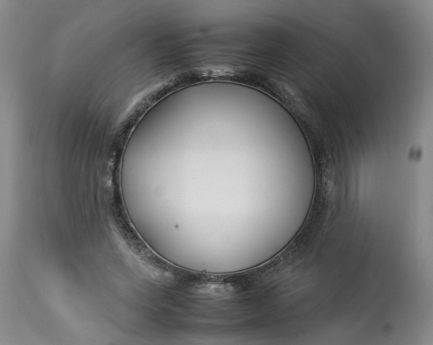 X0000113210543200910011322