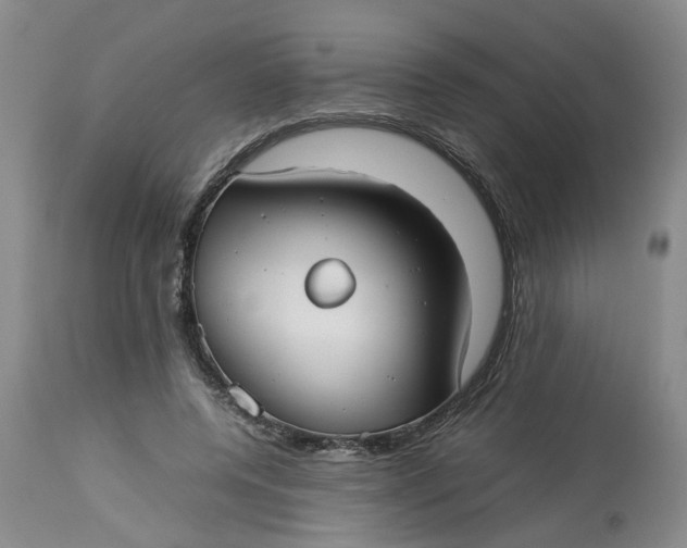 X0000113210544200910011322