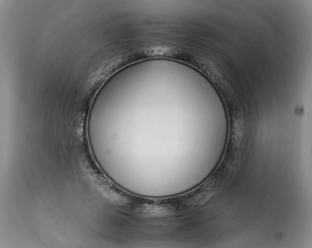 X0000113210545200910011322