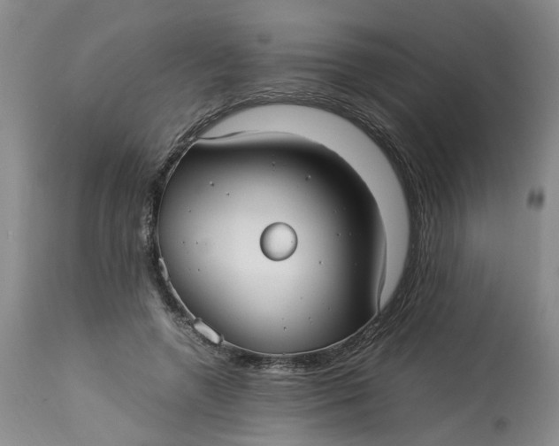 X0000113210546200910011322