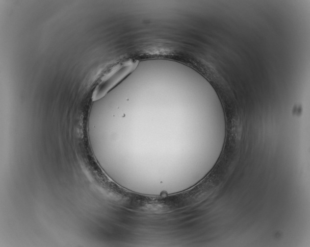 X0000113210547200910011322