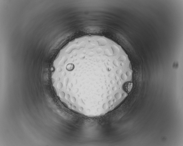 X0000113210549200910011322