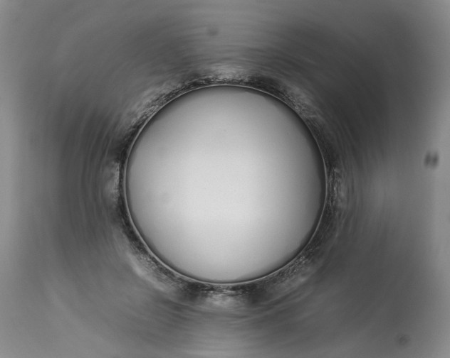 X0000113210550200910011322