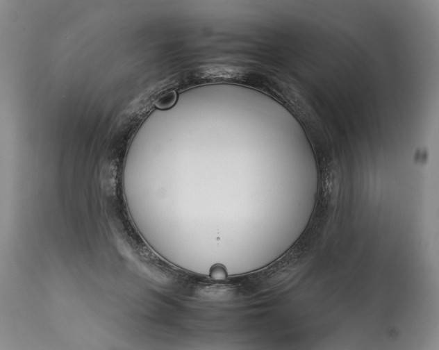 X0000113210551200910011322