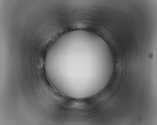 X0000113210555200910011322