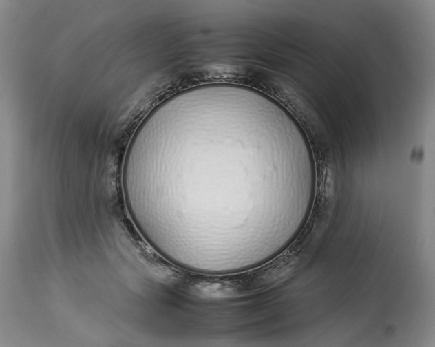 X0000113210557200910011322