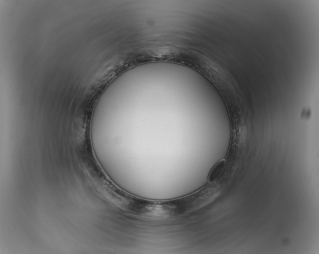 X0000113210558200910011322