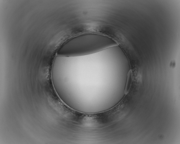 X0000113210560200910011322