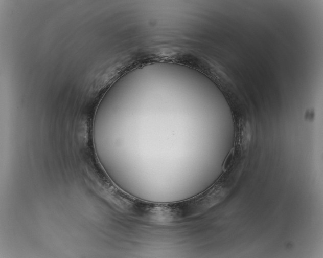 X0000113210562200910011323