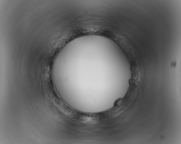 X0000113210563200910011323