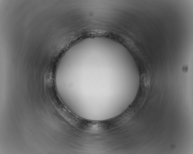 X0000113210564200910011323