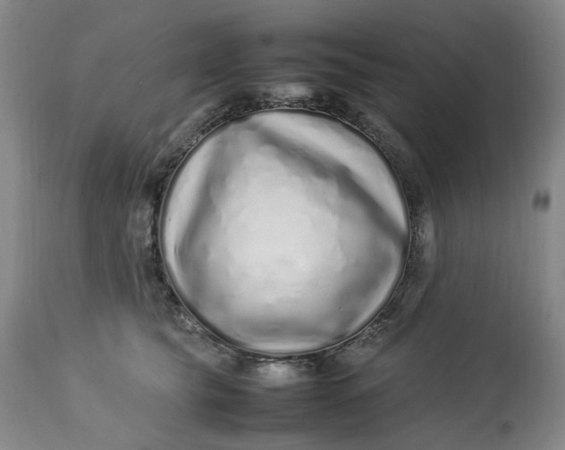 X0000113210565200910011323