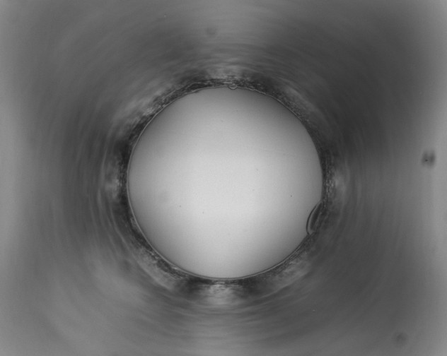 X0000113210566200910011323