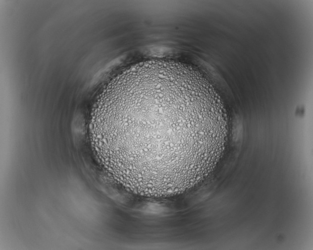 X0000113210569200910011323