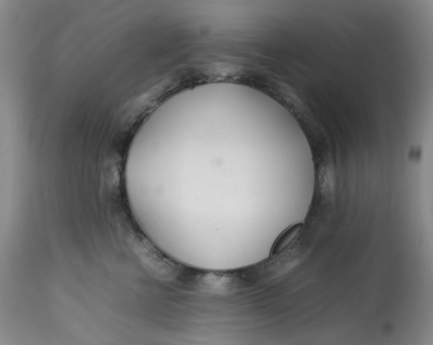 X0000113210570200910011323