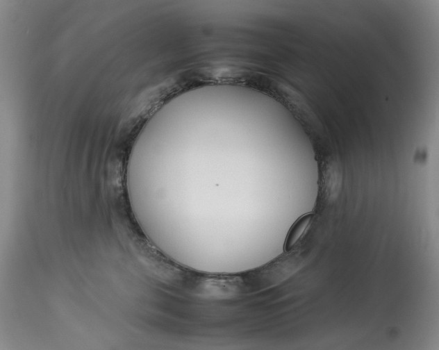 X0000113210571200910011323