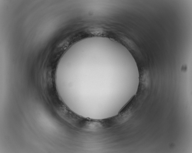 X0000113210572200910011323