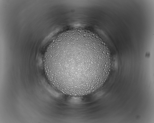 X0000113210573200910011323