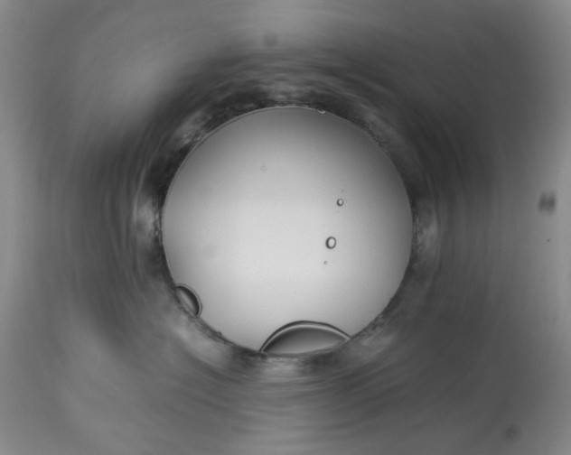 X0000113210574200910011323