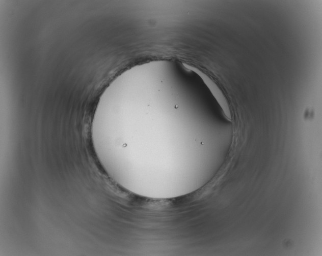 X0000113210576200910011323