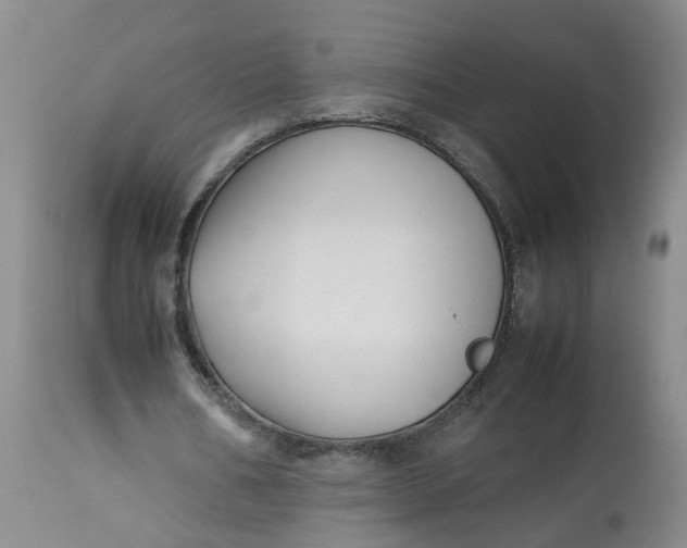 X0000113210578200910011322