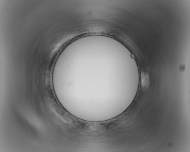 X0000113210579200910011322