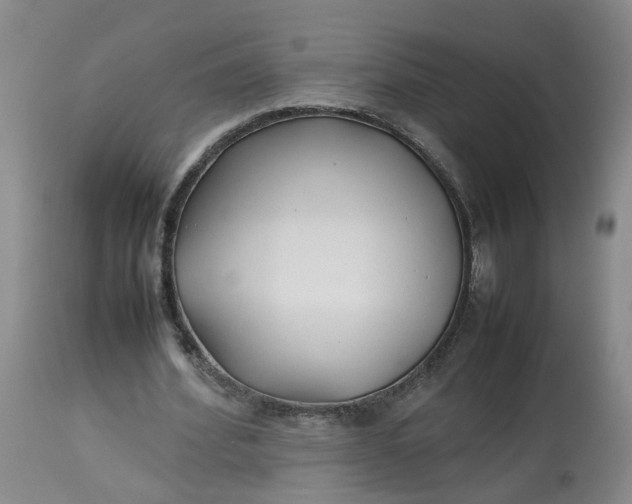 X0000113210580200910011322