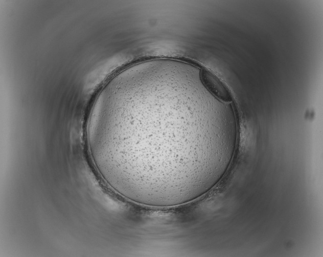 X0000113210581200910011322