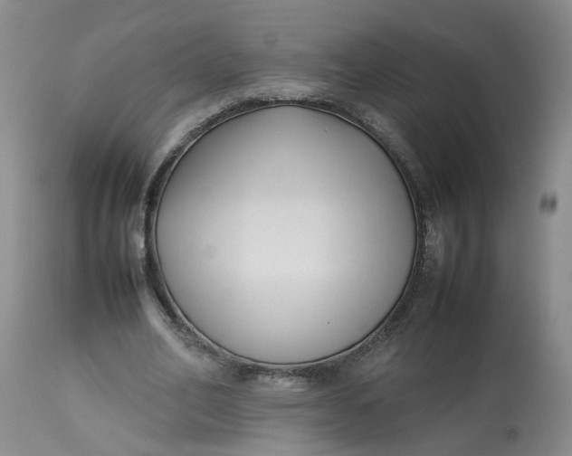 X0000113210582200910011322