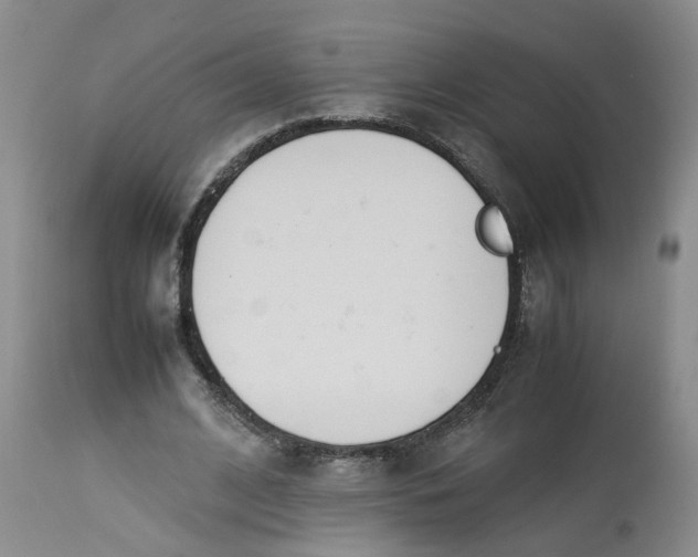 X0000113210584200910011322