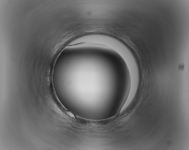 X0000113210585200910011322