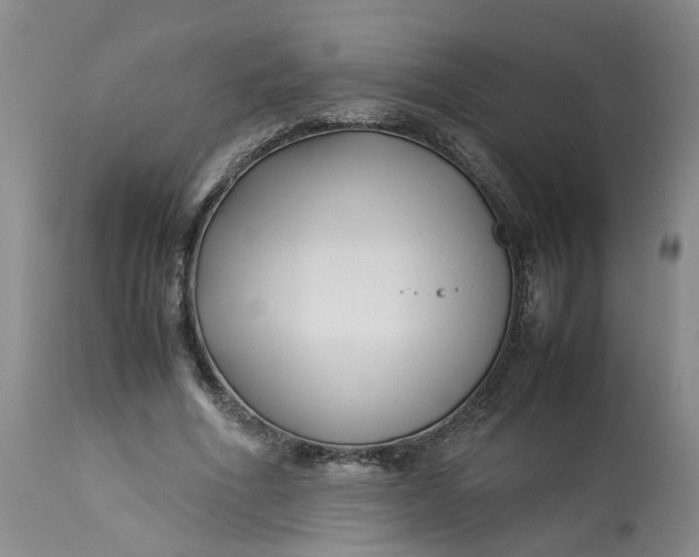 X0000113210586200910011322