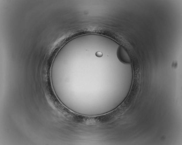 X0000113210587200910011322