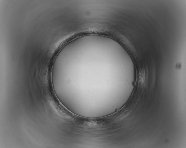 X0000113210588200910011322