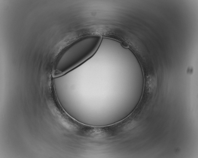 X0000113210589200910011322