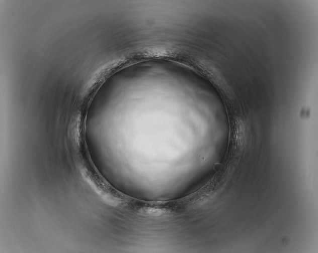 X0000113210590200910011322