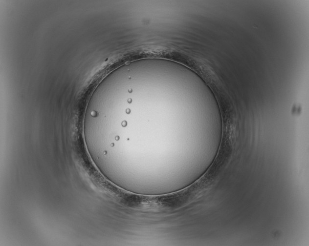 X0000113210591200910011322