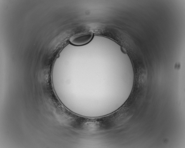 X0000113210595200910011321