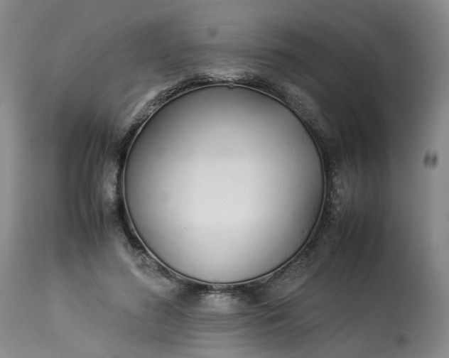 X0000113210596200910011321