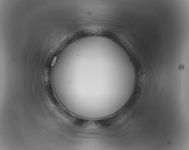 X0000113210597200910011321