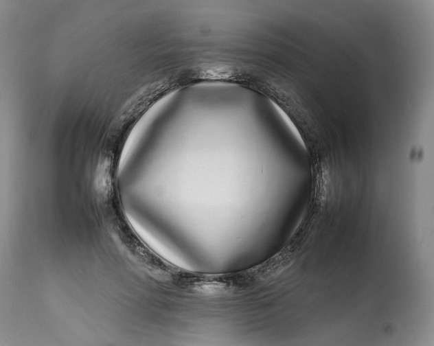 X0000113210598200910011321