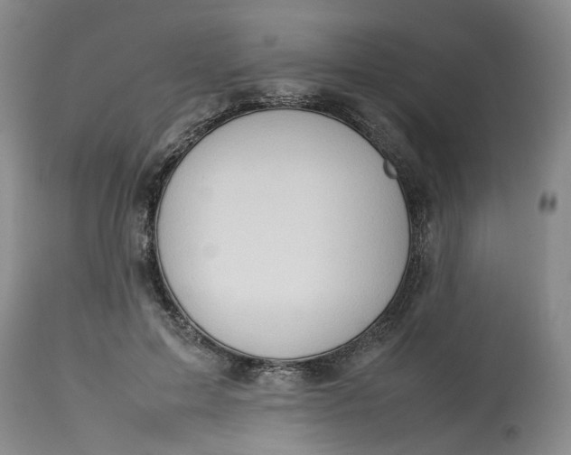 X0000113210599200910011321