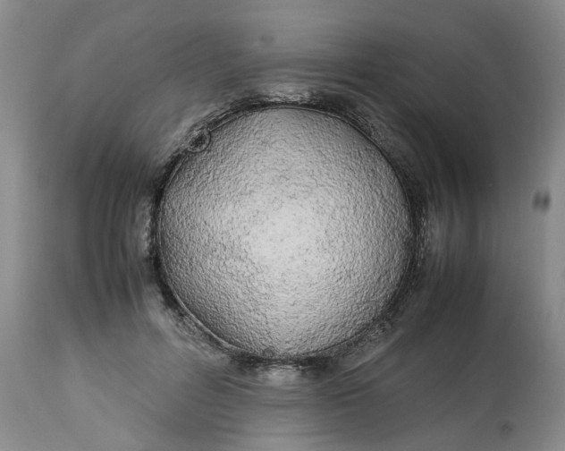 X0000113210600200910011321