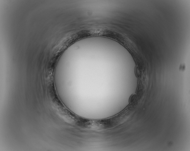 X0000113210601200910011321